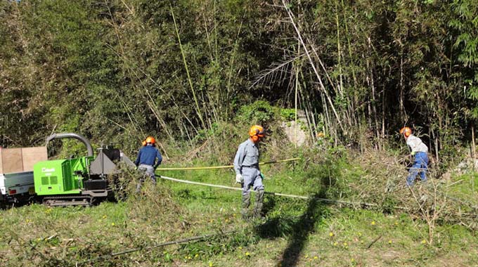 竹の伐採活動の新聞社取材
